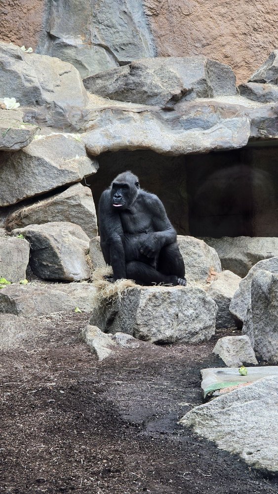 Tierpark Hellabrunn