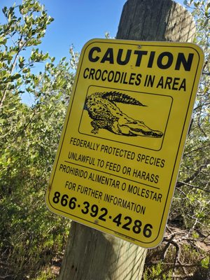 Wild Bird Sanctuary - Florida Keys Wild Bird Center by null