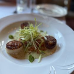 Daniel's - Scallop entree