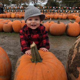 Doesn't get much cuter than this. Doesn't get much cuter than this.