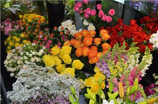 Vernon Flower Shop by null