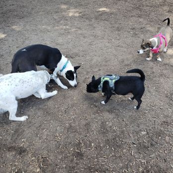 Modesto Dog Park - Dog Parks Near Me - Modesto, California Modesto Dog Park - Dog Parks Near Me - Modesto, California