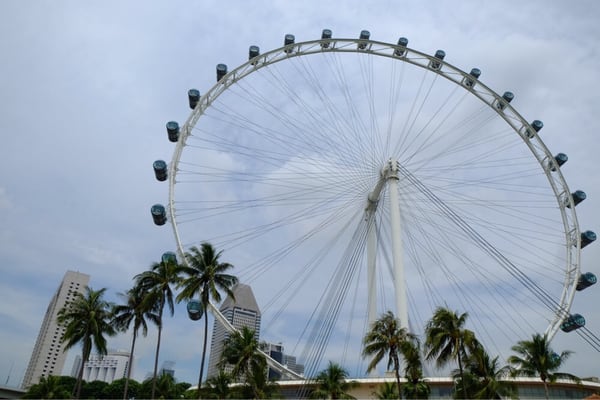 Singapore DUCKtours by null