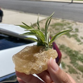 acme62 - Crystal with an air plant - Home Decor Near Me - Yucca Valley, California