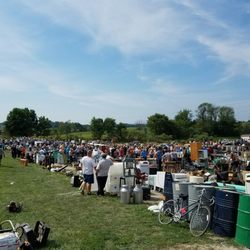 Mt Hope Auction