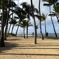 Beach At Mama's Fish House