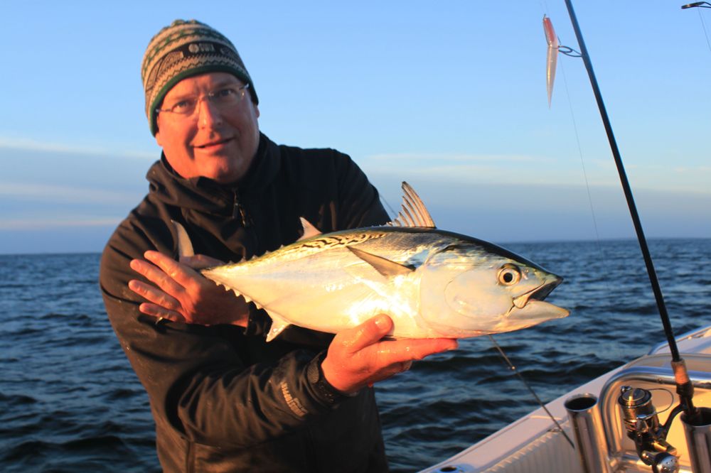 Gillies & Fallon Guide Service Logo