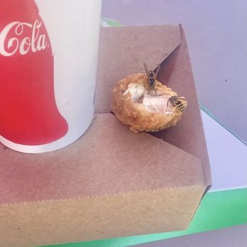 Six Flags Discovery Kingdom - Watch your food or you will bite into one of these.. they are EVERYWHERE! - Amusement Parks Near Me - Vallejo, California