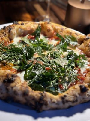 The Onion Tree by null