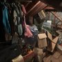 Photo of Junk Daddy