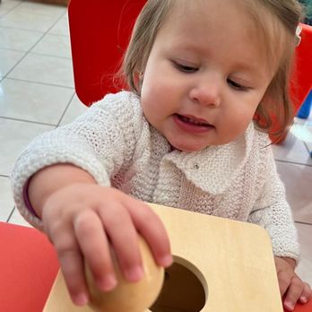 Timbertoy Bilingual Montessori - Preschools Near Me - San Diego, California Timbertoy Bilingual Montessori - Preschools Near Me - San Diego, California