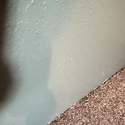 Carpetland USA Grand Junction