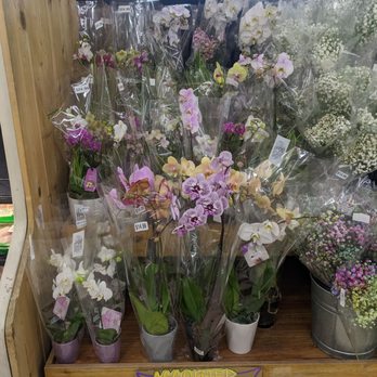 Trader Joe's - Grocery Near Me - Burbank, California