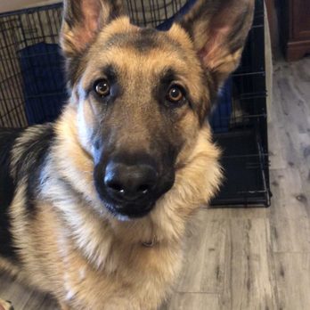 A Home 4 Spot - Adopted - Community Service/Non-Profit Near Me