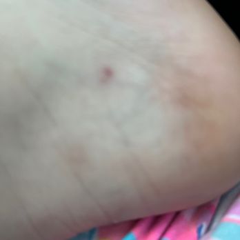 The Nail Lounge - Here is what they did to my feet - Nail Salons Near Me - Brandon, Florida