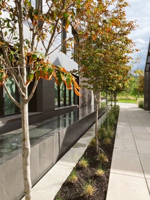 CedarCreek Estate Winery by null