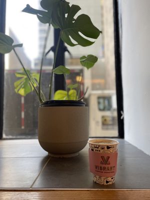 Vibrant Coffee Roasters & Bakery by null