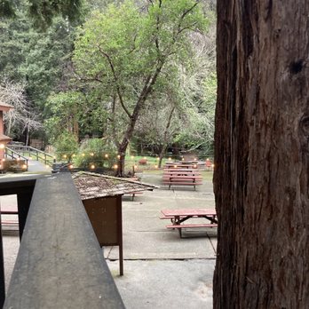 Mt. Cross Ministries - trees plants tables lights - Religious Organizations Near Me - Ben Lomond, California Mt. Cross Ministries - trees plants tables lights - Religious Organizations Near Me - Ben Lomond, California