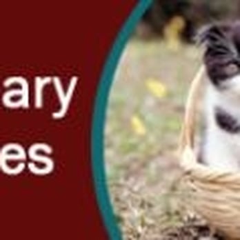 Companion Animal Hospital Veterinarians 2010 Denison St Denton Tx Phone Number