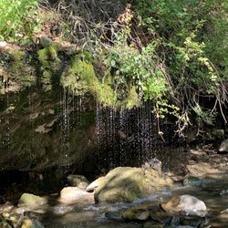 Dripping Rock Falls