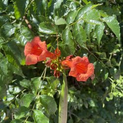 user provided Rustic Gardens Golf Center photo