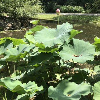 Green Spring Gardens - Botanical Gardens Near Me - Alexandria, Virginia