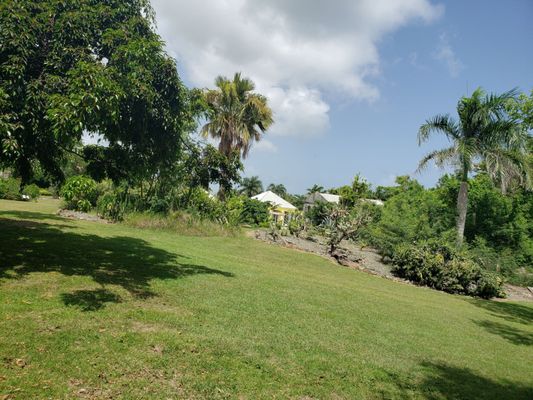 St George Village Botanical Gardens by null