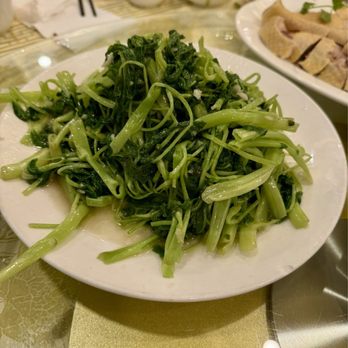 Canton Manor - Chinese Near Me - Bayside, New York Canton Manor - Chinese Near Me - Bayside, New York