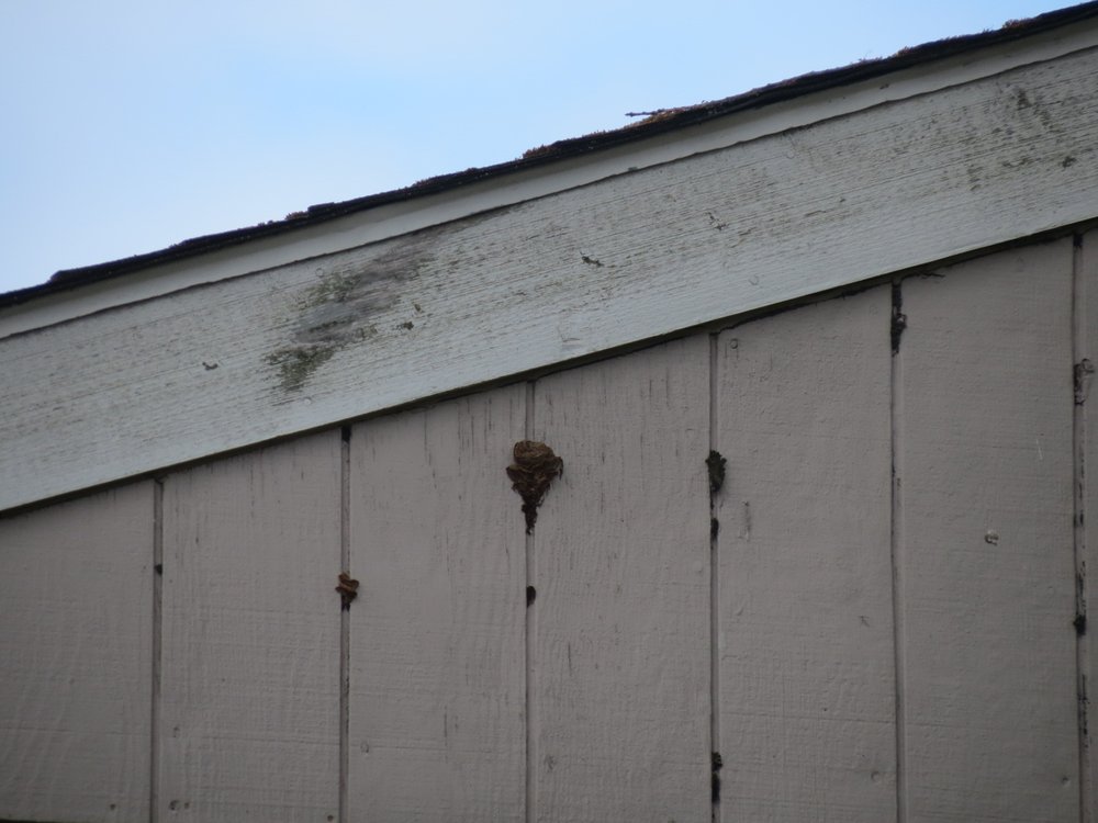 SILVERTON MANOR APARTMENTS Updated September 2024 13 Photos 992 N