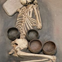 Museum für Ur- und Frühgeschichte