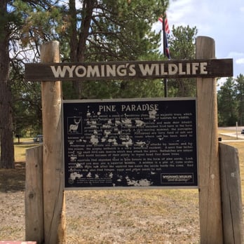 Pine Paradise Rest Stop - Rest Stops Near Me - Upton, Wyoming Pine Paradise Rest Stop - Rest Stops Near Me - Upton, Wyoming