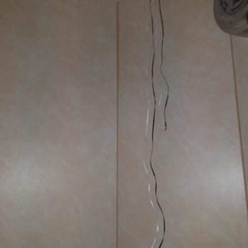 Royal Caribbean - Gross dental floss left here from the previous guest. Found hanging in the shower from the clothes line - Travel Services Near Me - Seattle, Washington Royal Caribbean - Gross dental floss left here from the previous guest. Found hanging in the shower from the clothes line - Travel Services Near Me - Seattle, Washington