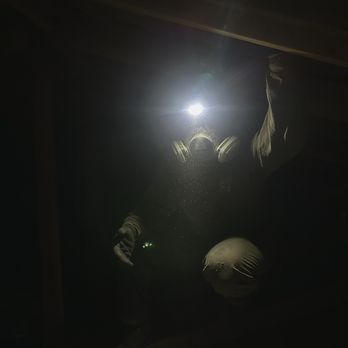 Dialed Pest Control - Pest Control Near Me