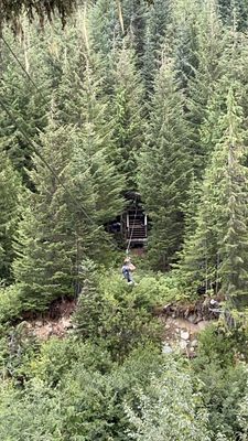 Ziptrek Ecotours by null