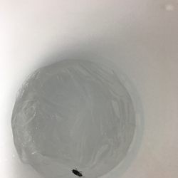 McDonald's - FLY IN DRINK!!