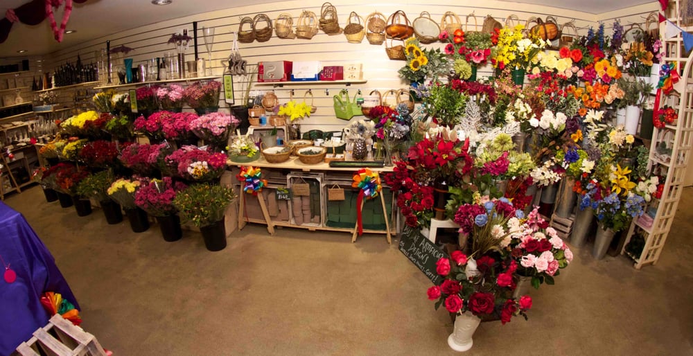 FLOWER CITY Updated June 2024 Warren Road, Brighton, United Kingdom