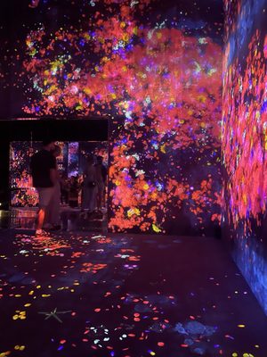 teamLab Borderless: MORI Building DIGITAL ART MUSEUM by null