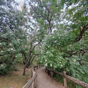Folsom Lake Peninsula Campground - Oaks Nature Trail, which is entirely inside of the campground - Boating Near Me - Pilot Hill, California