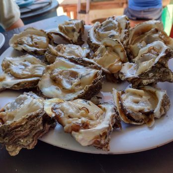 Mariscos El Payo - A dozen fresh oysters - Mexican Near Me - Bucerías, NAY