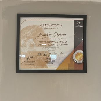 Jen's Pet Care - Certification - Pet Sitting Near Me Jen's Pet Care - Certification - Pet Sitting Near Me
