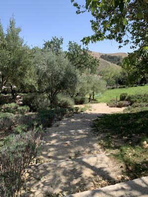 Demetria Estate & Vineyards by null