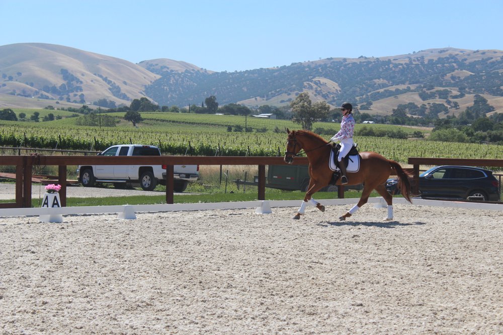 BILLINGS EQUESTRIAN 20 Reviews Livermore, California Horseback