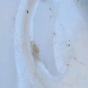 Cielo Rooftop Lounge - The plate is damaged but they served my food on it. - Cocktail Bars Near Me - San Diego, California Cielo Rooftop Lounge - The plate is damaged but they served my food on it. - Cocktail Bars Near Me - San Diego, California