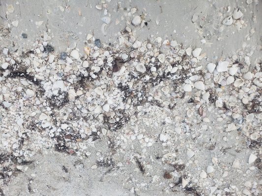 Lovers Key State Park by null