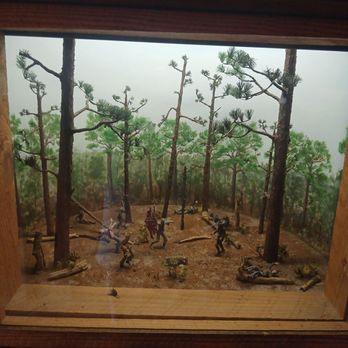 Olustee Battlefield Historic State Park - Parks Near Me - Olustee, Florida