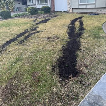 Franks Landscape Design - Completely ridiculous - Landscaping Near Me
