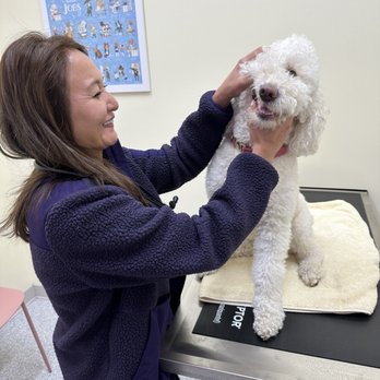 Rosecrans Veterinary Clinic - Veterinarians Near Me - Hawthorne, California Rosecrans Veterinary Clinic - Veterinarians Near Me - Hawthorne, California
