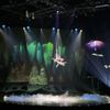 Cirque Du Soleil: Ovo gift card