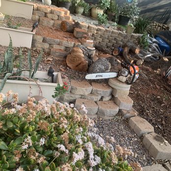 Kings Tree Services - Cut limbs - Tree Services Near Me Kings Tree Services - Cut limbs - Tree Services Near Me