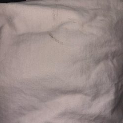 The Washing Machine - I was actually able to scrub the stain out in my sink